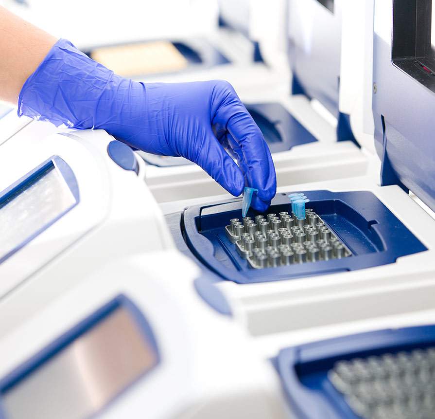 Cannabis Viren Test, PCR-Tests, RT-PCR Test, Molekulare Analyse